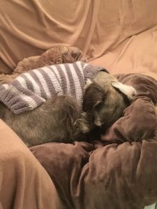 D14751AD-5502-4F5E-BB3F-8956D2885DA5