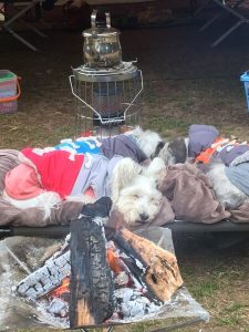 F60F57A0-8756-4763-A98B-59D4A46A31A2