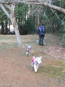 F71E8C4B-37BD-43F3-B771-38E7BE659338