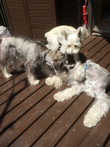 068A2DA4-C62E-416B-8208-36C6CC961308