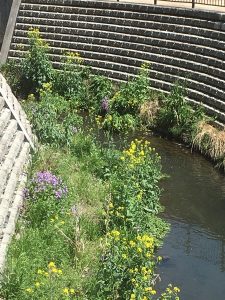 1A406953-1E7E-491C-9029-2BECE5BF92E3