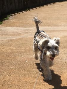 28592886-1ED3-4DE7-93A0-25ADE01C2BE6