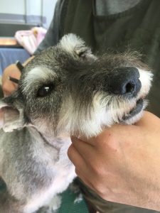 28BE5705-C187-4818-8157-FAA2B54E65E4