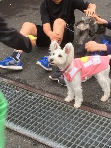 29C2E299-8E21-4F90-9E46-EAAA44E42145