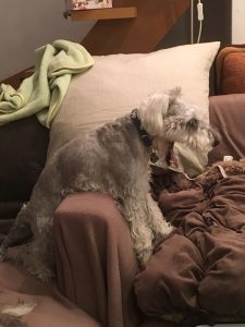 334CE25A-E06F-464D-A4B6-C09ABEB035BB