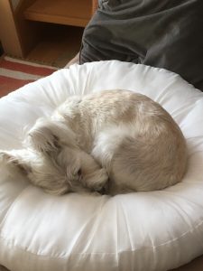 339AD20C-71A3-45AA-933E-DC92D5C56B90