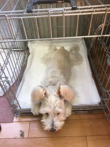 47A2C284-055F-4242-BBC3-078BF22DBFBF