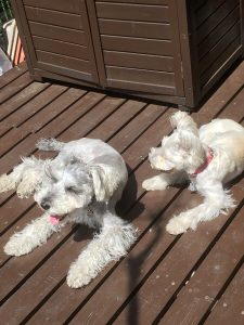 4EABFA8E-DB35-40C7-812E-F9CDFD3ED7DC