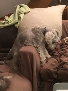 5E1803F5-E8F5-4EAA-9E30-BFBC8A284CB7