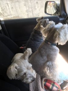 879D949B-EE8D-434B-8446-4F89EC789D6B