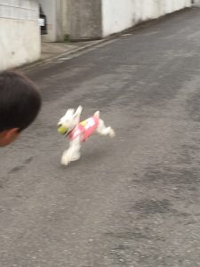 9437EA1C-6F27-438E-B25B-37FBDF1765E2