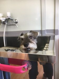 9452C463-FB03-4917-8EDB-80A0E261D4A4