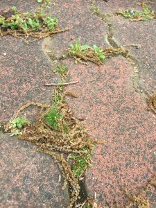 9E401E7E-BBA8-4E94-B4AB-A8EEAF50BE12