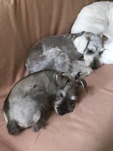 A213A46A-7EDB-479D-8510-FFB8B0E4B11A