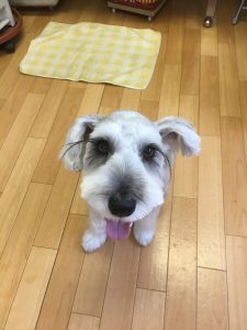 B07CF31B-67E7-43A2-89A2-B4EB9DD8F20E