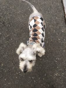 B419E7A2-6F2B-4453-8AB7-B85F39BA55C2