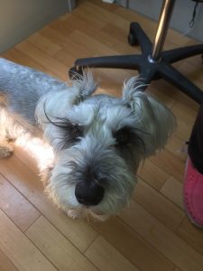 BAC32CB0-0663-4768-ABE5-10C86E9AECE3