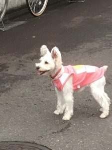 BB7CA657-2D7F-4AEB-8278-F448E235A066