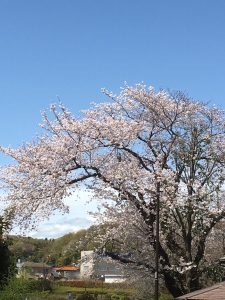 C482682D-A49C-475C-910C-C0A4D7A14EF4