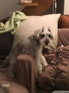 CC25BADF-9854-41C6-BC64-04678854B67A