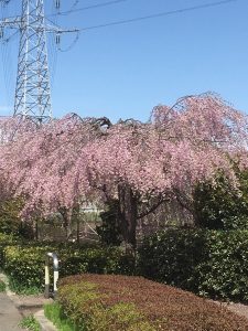 E3326ED7-275C-4C62-845E-5E90BCCD0C72