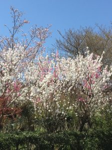 E537CD2A-88EC-4F2B-85BF-D6186AB7A78E