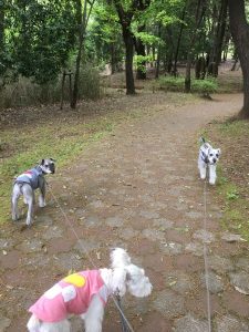 E5420809-8ADA-4498-853C-3C48F35930A9