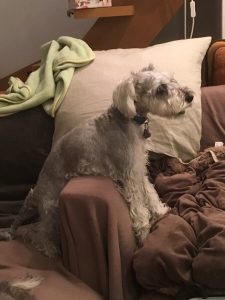 EFD3C182-7B32-4F71-93A8-AE257C8CE71A