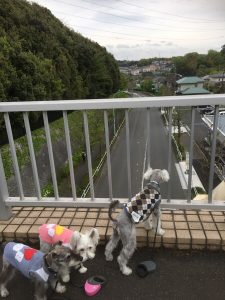 FB871FDA-5FEF-4220-8C7D-0A0B1151E8E9