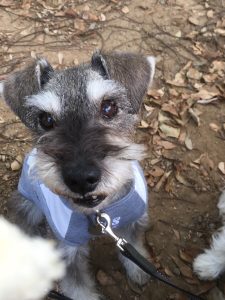 158A901B-A6BA-40D0-9457-7010D164E3F9