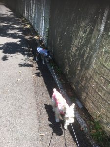 236C7117-2BB7-4296-9FB8-B8C35B750002