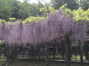 31811D88-E260-408B-996C-EB74C5C1244C