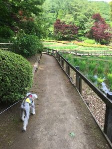 564247F0-1F37-43DC-9BB2-9863A54A369A