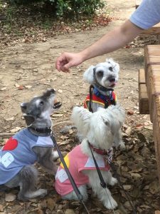 67541A30-F77D-4E4B-9111-97D294299FFE