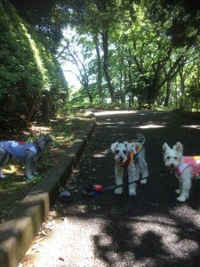 71A51EBD-5A19-473C-B7C2-567014736E78