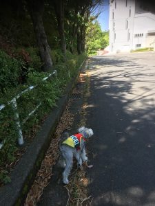 75E5B65E-5491-43BE-B545-0E171E0C1875