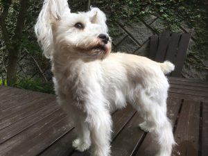 7DCCD8C5-03C7-47C2-B008-DB6C83483AA9