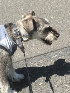 88FBA3CB-C65D-4373-9CCE-E6ED7F9721EC