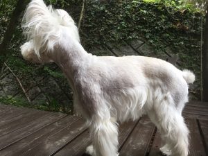 913D316D-FAF5-4A20-AB8E-9BE4E2A93454