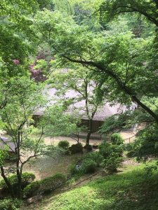 EE041AE9-51F2-438F-8D98-34BAA4FF6B93