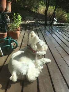 FE4E422A-F4D0-41B0-A48C-60634F4D0CA5