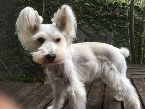 FFAAFD33-C84D-4FCE-A7B6-D8BEC5FA7557